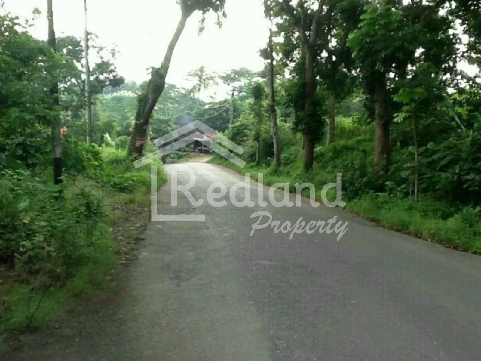 Slide show