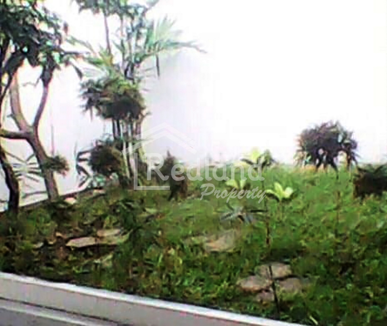 Slide show