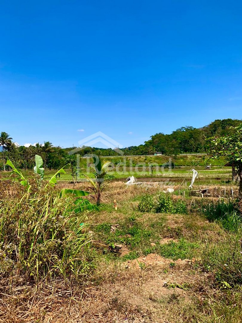 Slide show