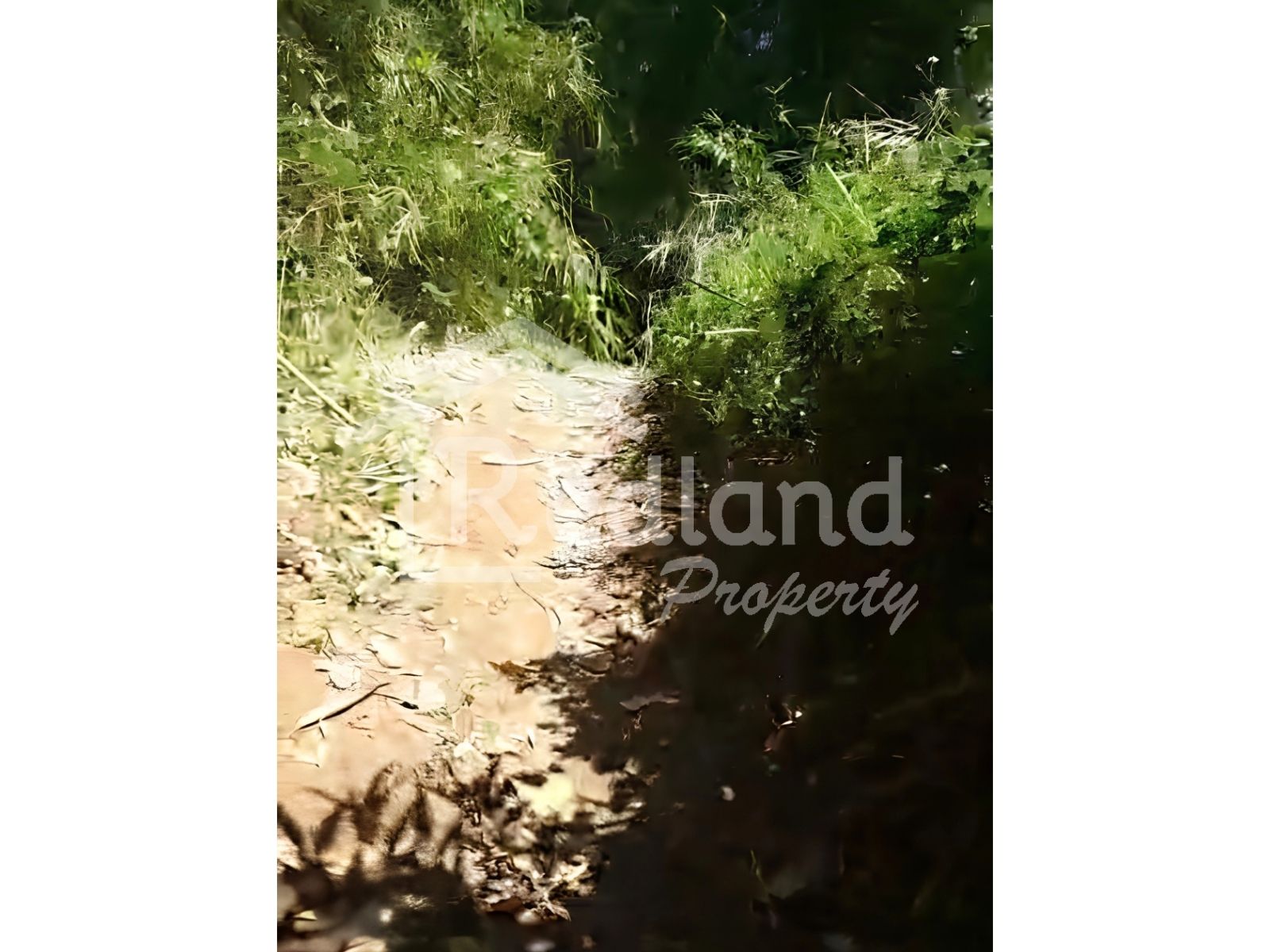 Slide show